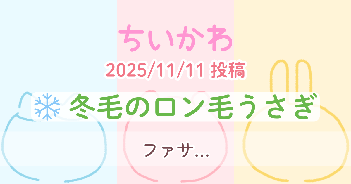 【ちいかわ】 冬毛のロン毛うさぎ│1コマずつ読む原作漫画＆セリフ書き起こし