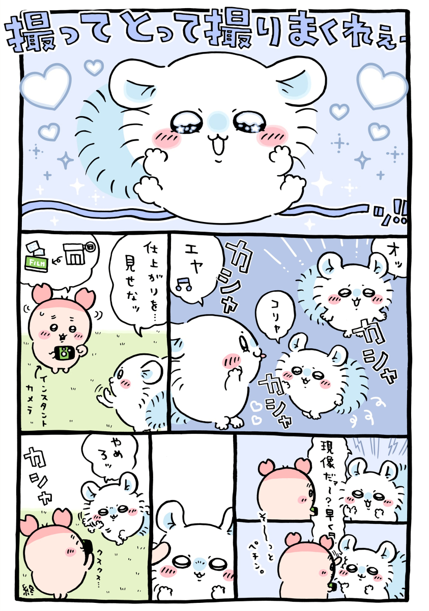 ちいかわ「📸(撮ってとって撮りまくれ)」2026年2月3日投稿│古本屋がインスタントカメラでモモンガの写真を撮るエピソード