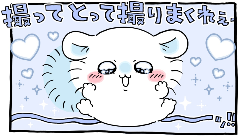 ちいかわ「📸(撮ってとって撮りまくれ)」1コマ目│目に星を煌めかせハートを散りばめながら「撮ってとって撮りまくれぇ～～～ッ!!」とかわいいポーズをとるモモンガ