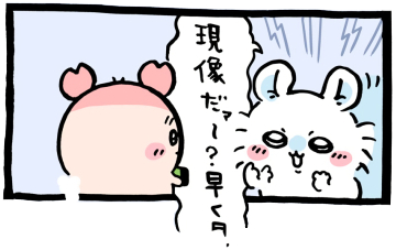 ちいかわ「📸(撮ってとって撮りまくれ)」4コマ目│古本屋(カニ)が無理だと言うのにも関わらず「現像だァ～？早く早く」と急かすモモンガ