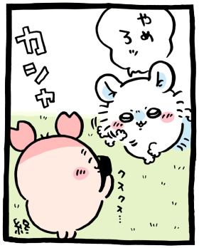 ちいかわ「📸(撮ってとって撮りまくれ)」7コマ目│不意におでこを叩かれ「やめろッ」と言うモモンガと、その様子を微笑ましくクスクス笑いながら写真に写す古本屋(カニ)